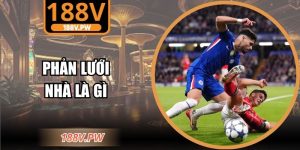 phản lưới nhà là gì